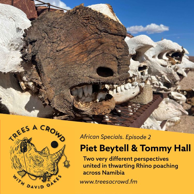 cover art for Piet Beytell & Tommy Hall: Two very different perspectives united in thwarting Rhino poaching across Namibia