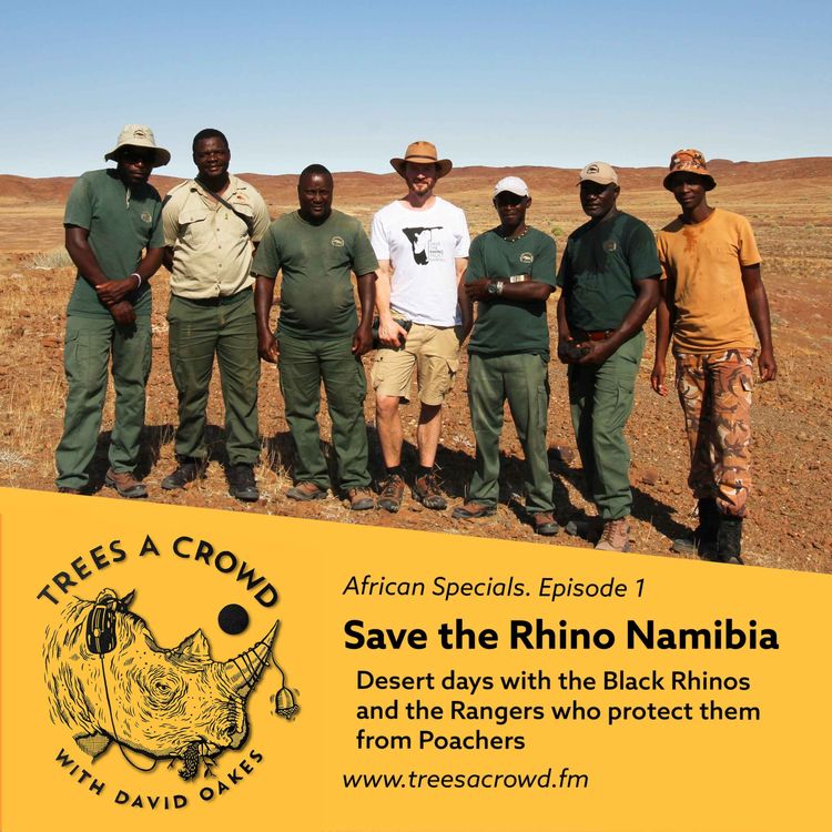 cover art for Save the Rhino Trust Namibia: Desert days with the Black Rhinos and the Rangers who protect them from Poachers