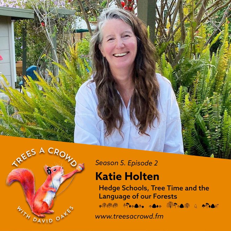 cover art for Katie Holten: The Three Questions