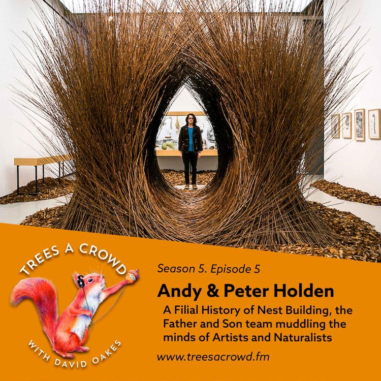 cover art for Andy & Peter Holden: A Filial History of Nest Building