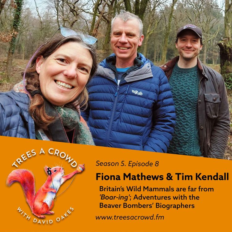 cover art for Fiona Mathews & Tim Kendall: Wild Mammals are far from 'Boar-ing'