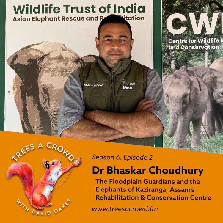 cover art for Dr Bhaskar Choudhury: The Floodplain Guardians and the Elephants of Kaziranga