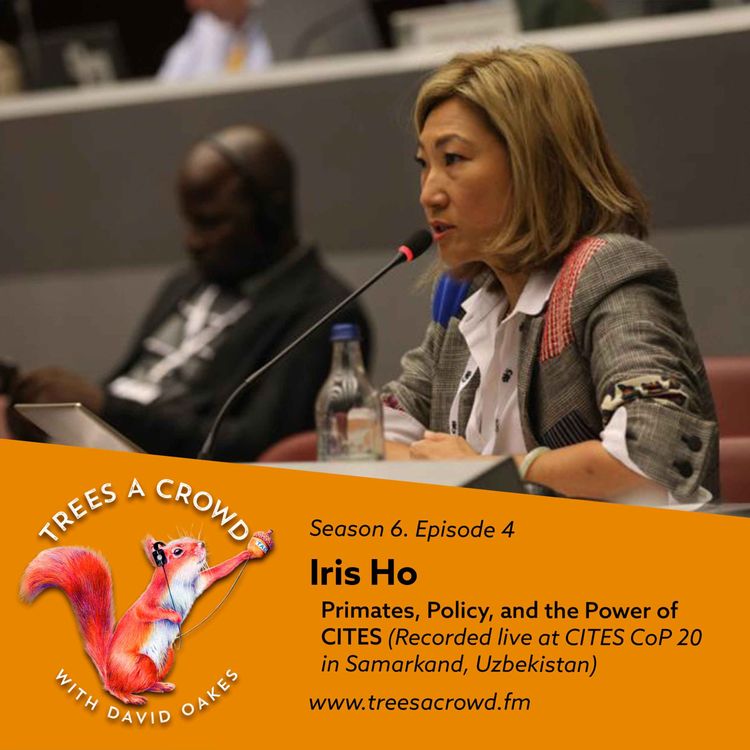 cover art for Iris Ho: Primates, Policy, and the Power of CITES