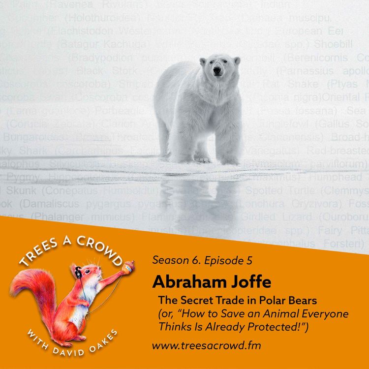 cover art for Abraham Joffe: The Secret Trade in Polar Bears (or, “How to Save an Animal Everyone Thinks Is Already Protected!”)