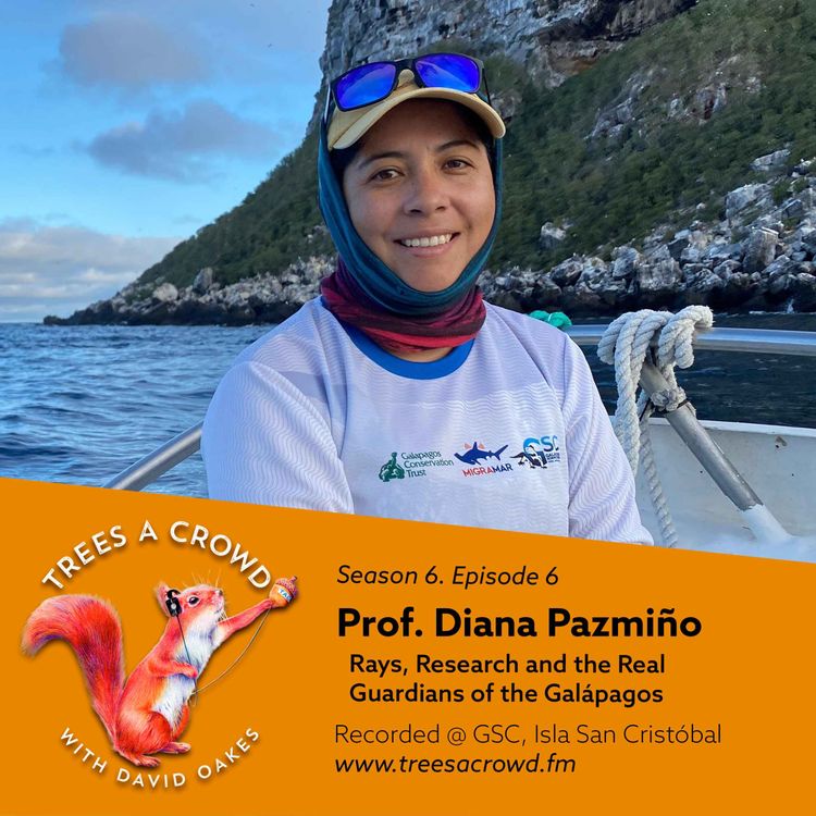 cover art for Prof. Diana Pazmiño: Rays, Research and the Real Guardians of the Galápagos
