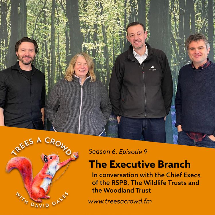 cover art for The Executive Branch: Beccy Speight (RSPB), Darren Moorcroft (Woodland Trust) and Craig Bennett (The Wildlife Trusts)