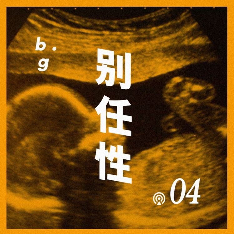 cover art for Vol.4 从一次流产说起