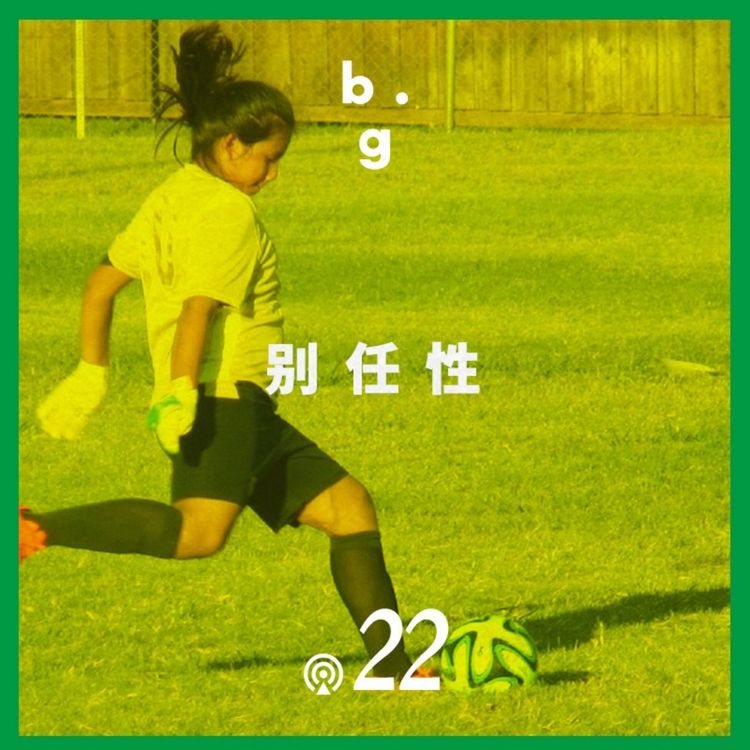 cover art for Vol.22 足球真的是一项很爷们儿的运动？