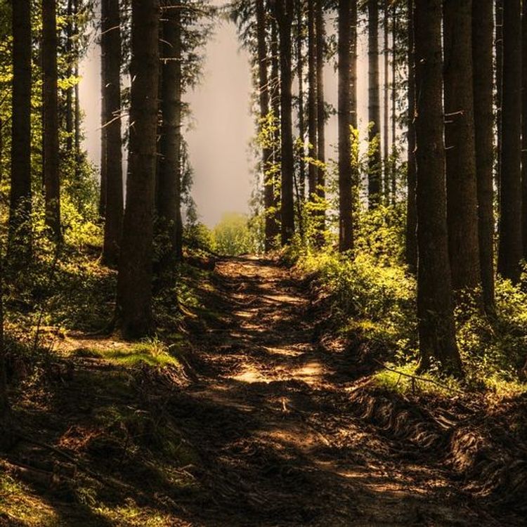 cover art for Avsnitt 26 (Mörka Småland)