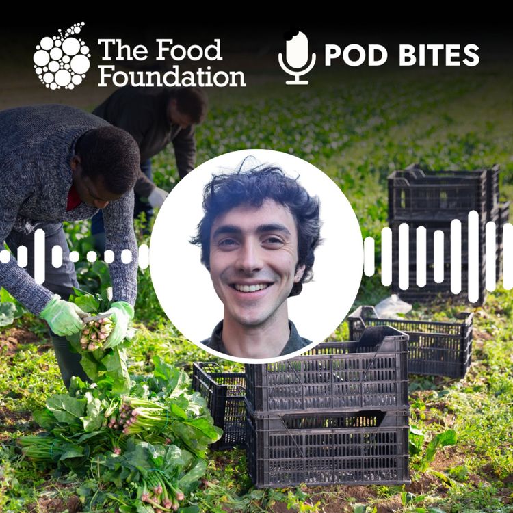 cover art for Pod Bites: Why the UK needs a Food Bill
