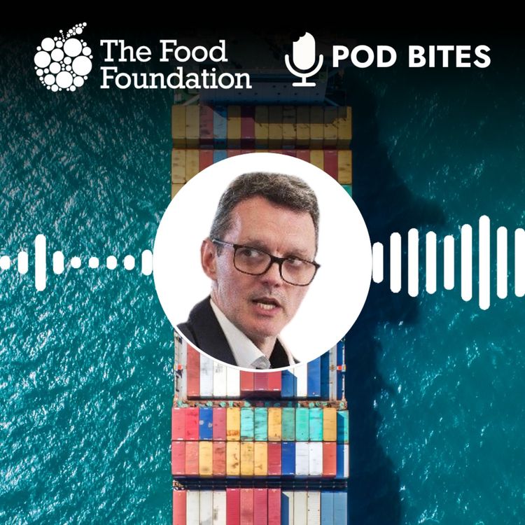 cover art for Pod Bites: How global conflicts impact food prices