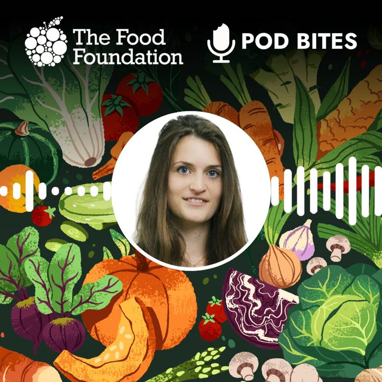 cover art for Pod Bites: Struggling to put food on the table