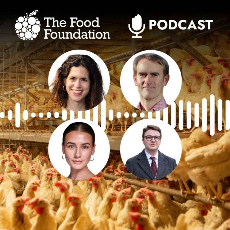 cover art for Fowl play? The UK's insatiable appetite for chicken