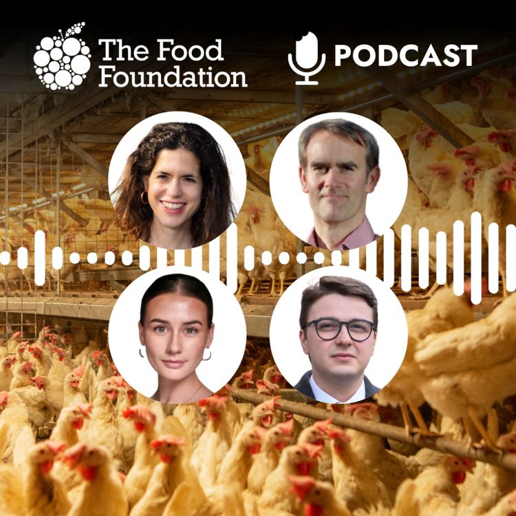 cover art for Fowl play? The UK's insatiable appetite for chicken