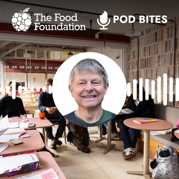 cover art for Pod Bites: From the Ground Up