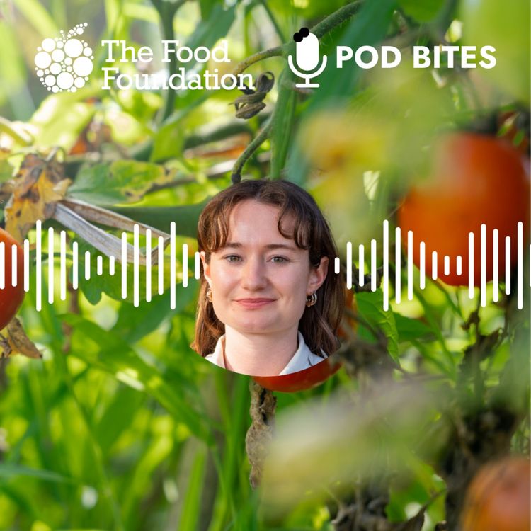 cover art for Pod Bites: Can the UK grow enough food?