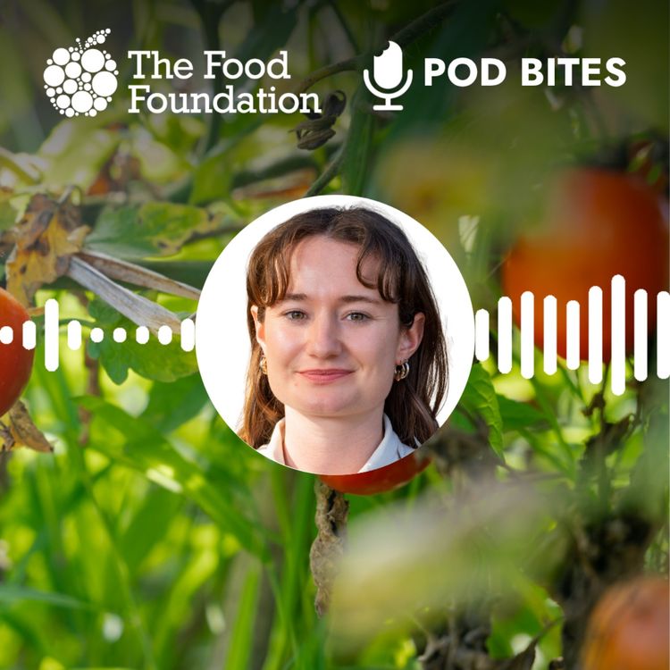 cover art for Pod Bites: Can the UK grow enough food?