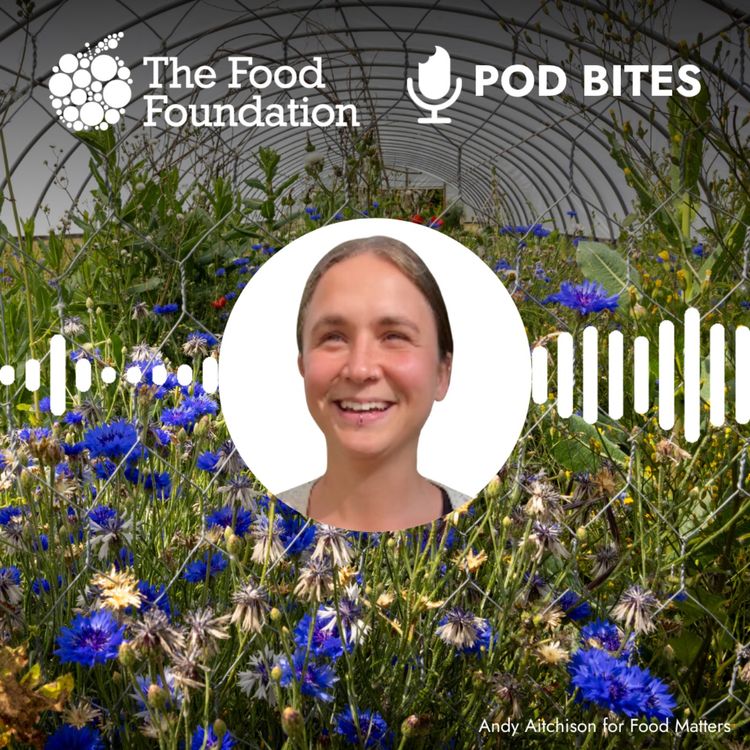cover art for Pod Bites: Why prison food matters 