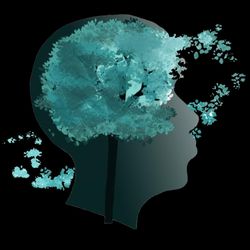 cover art for Gomutak