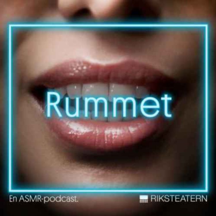 cover art for Rummet, en ASMR-upplevelse: Natten