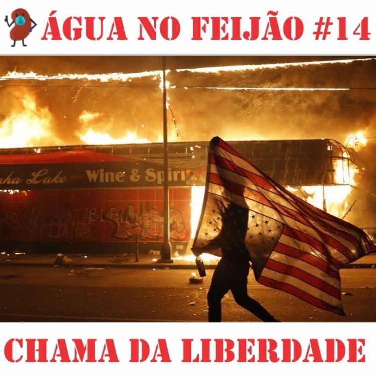 cover art for ANF #14 - Chama da liberdade