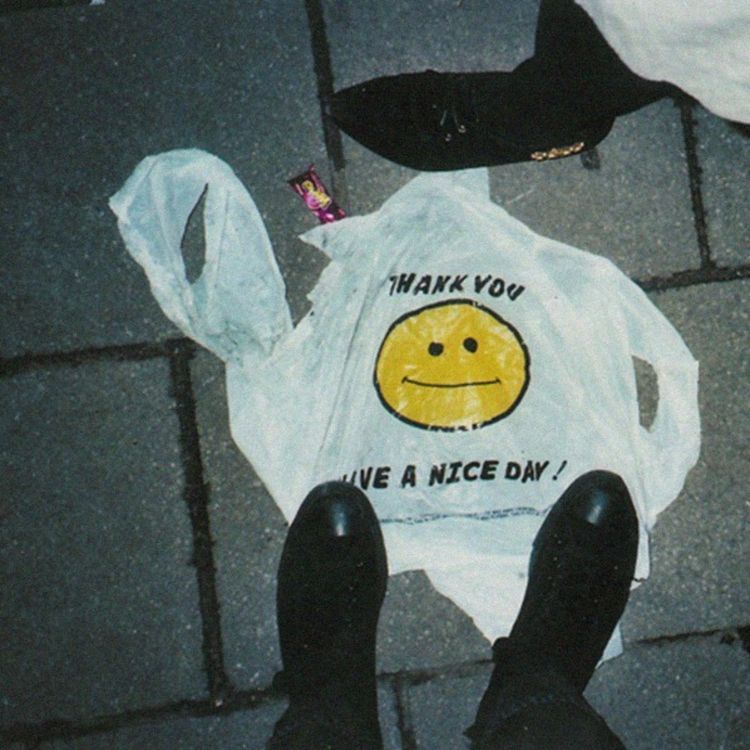 cover art for felt cute might delete later