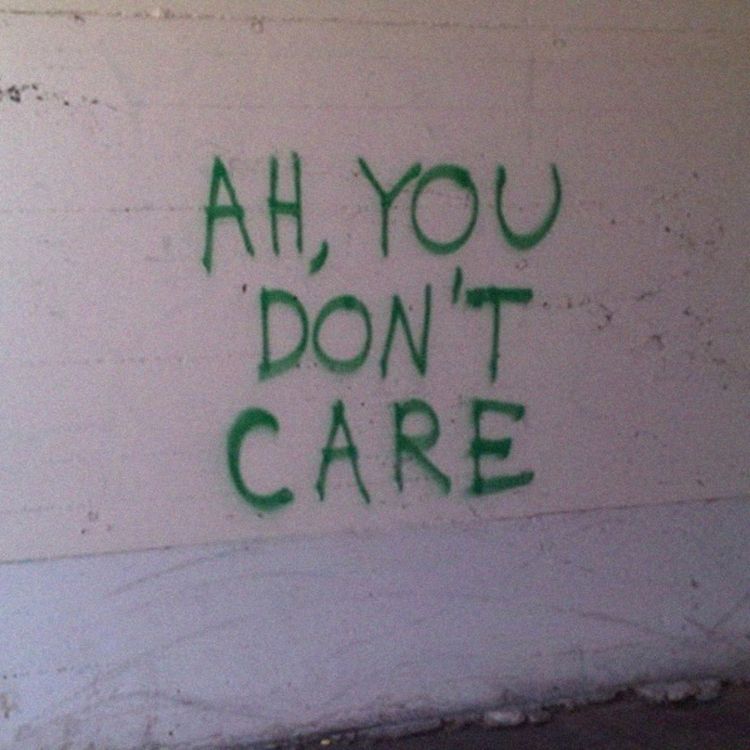 cover art for the music or the misery