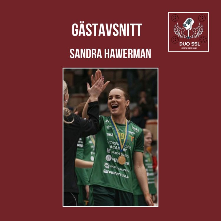 cover art for SANDRA HAWERMAN 2.0