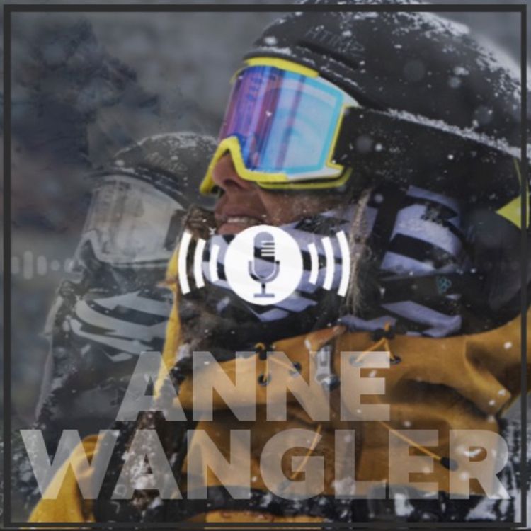 cover art for Anne Wangler - Resilience & Recovery