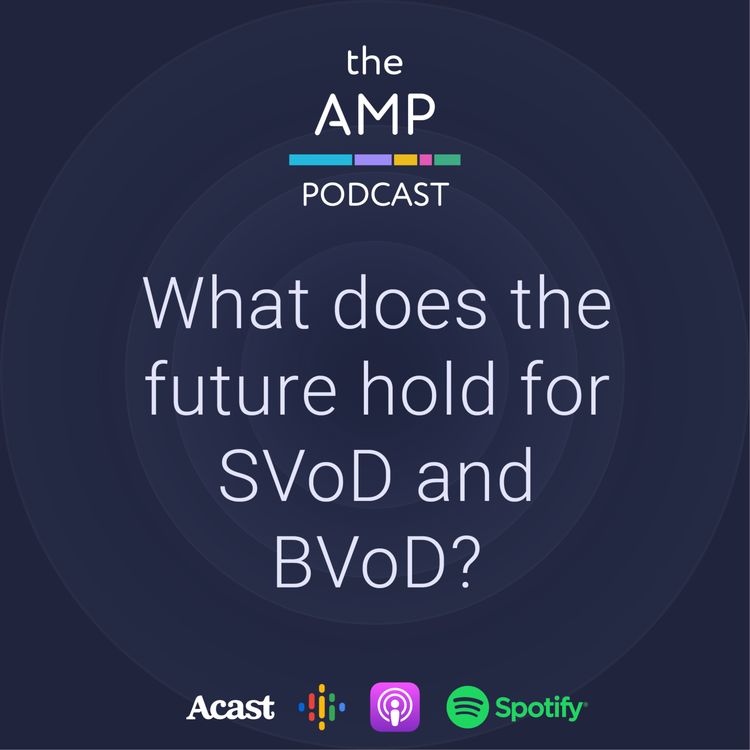 cover art for What does the future hold for SVoD and BVoD?