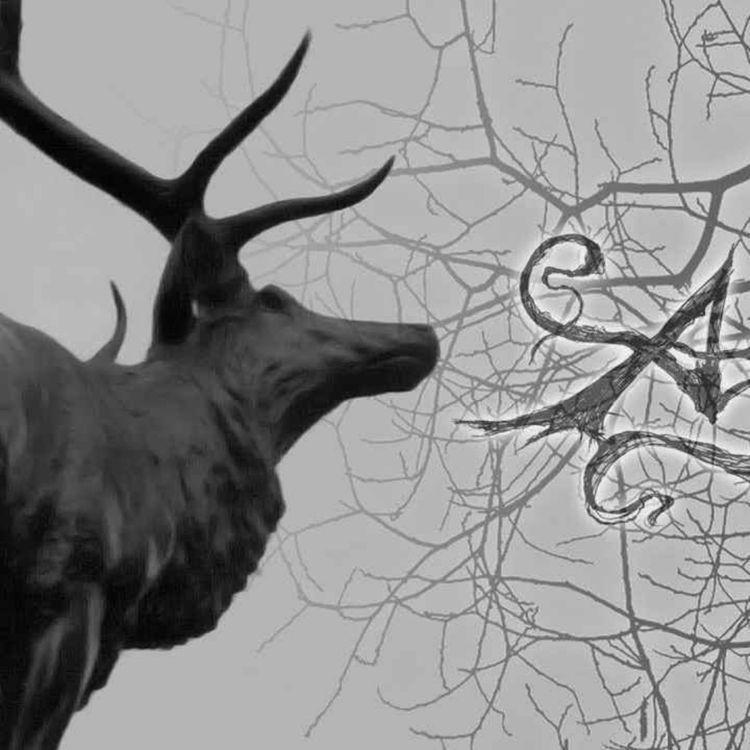 cover art for a chat w / JASON from AGALLOCH