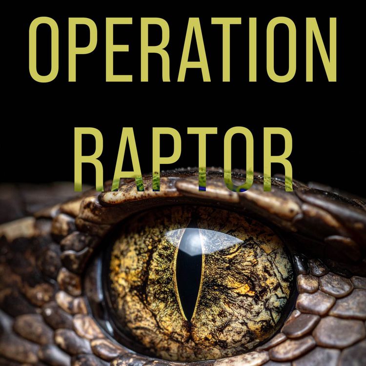 cover art for Operation RapTor - när anonymiteten på darknet försvann