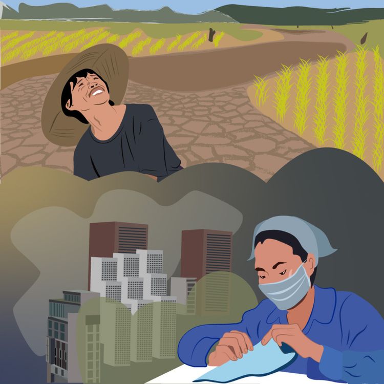 cover art for Du vent dans les rizières