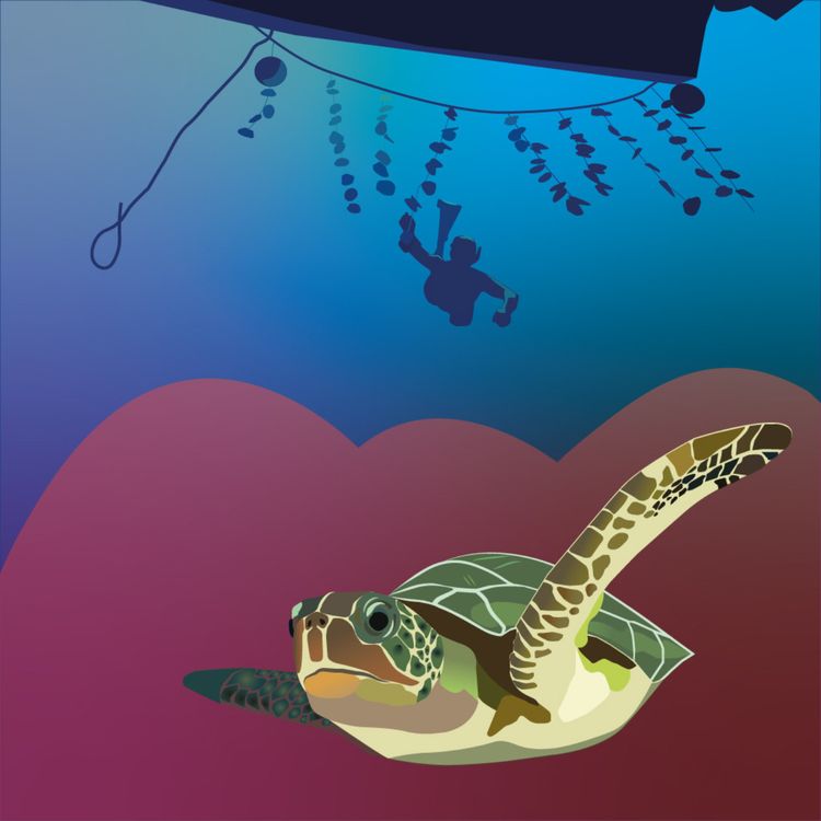 cover art for Raihau et les perles du Pacifique