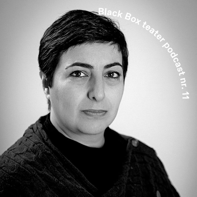 cover art for Asieh Amini i samtale med Lene Therese Teigen