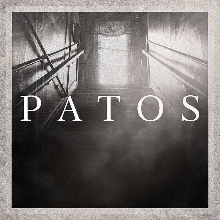 cover art for Försvinnandet av Sherri Papini
