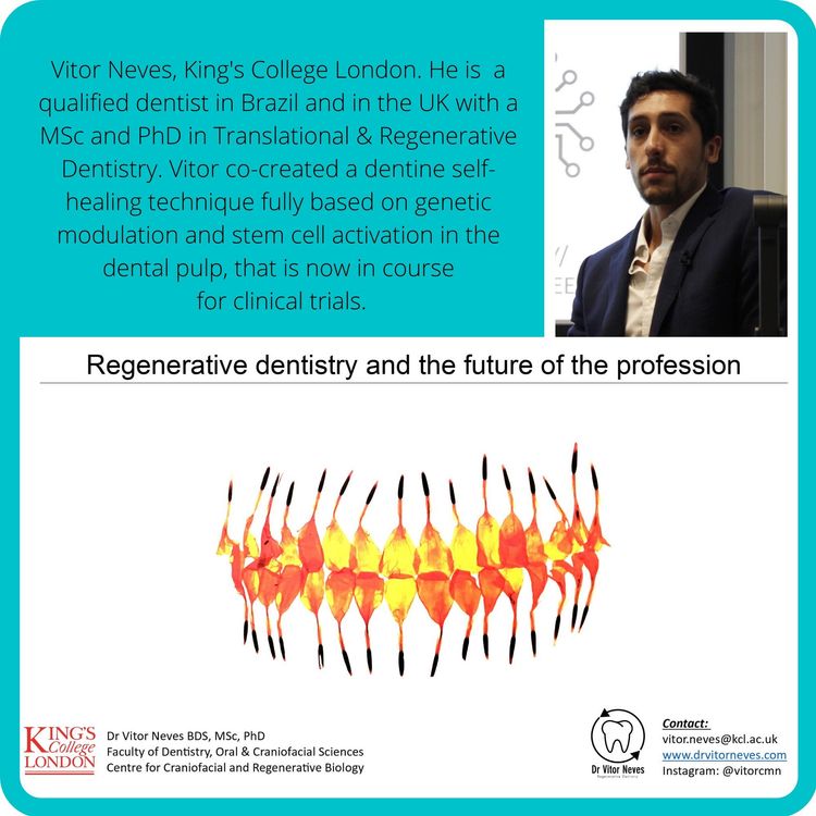 cover art for Regenerative Biology in Dentistry