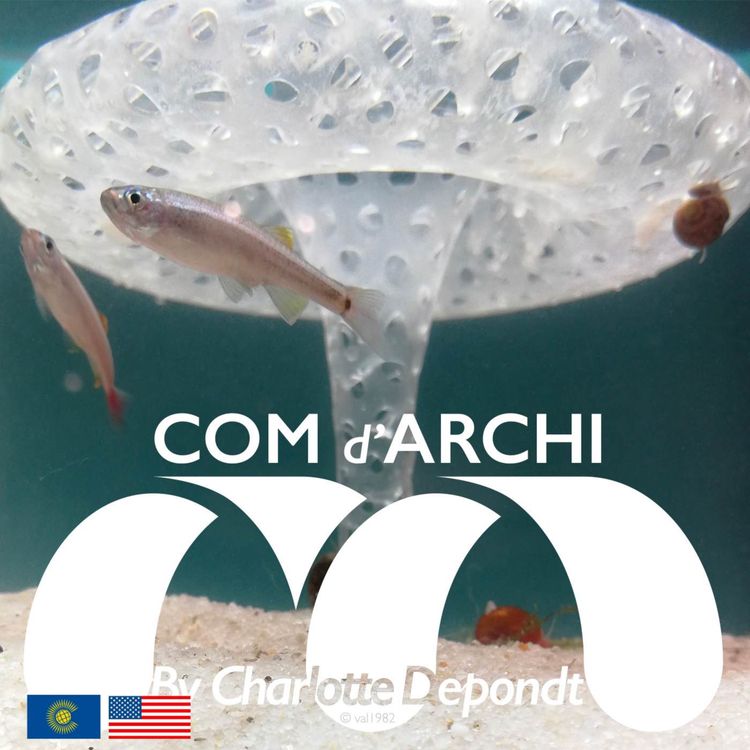 cover art for S4#58 🇺🇸🇬🇧 "Small is beautiful!" by Xavier Lagurgue