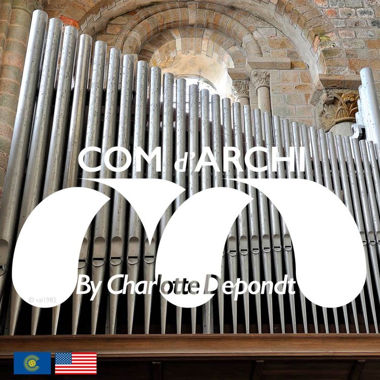 cover art for S4#69 🇺🇸🇬🇧 "Organs and architecture in resonances", the synthesis