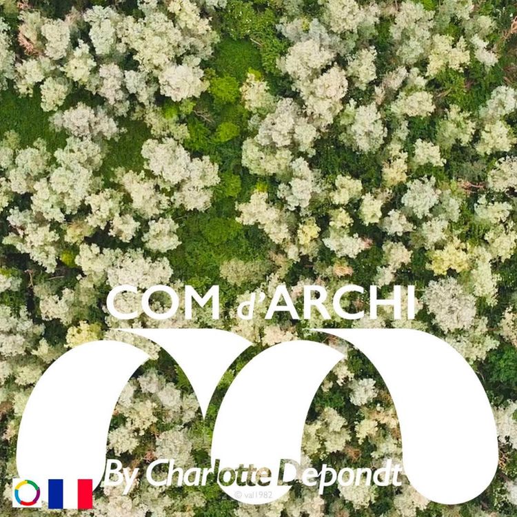 cover art for S7#12 đ«đ· Itv, "Une force issue des contraintes, en plein cĆur du SIMI 2025 !" avec Aminata Sy et Alexandre Belle