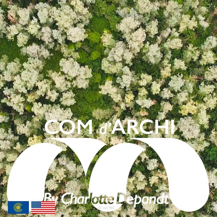 cover art for S7#12 🇺🇸🇬🇧 Itw, “A Force Born from Constraints, at the Heart of SIMI 2025!” with Aminata Sy and Alexandre Belle