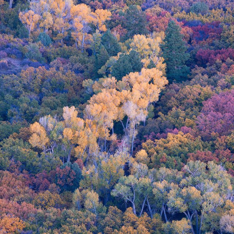 cover art for Sarah Marino & Ron Coscorrosa - Intimate and Abstract Landscape Photography