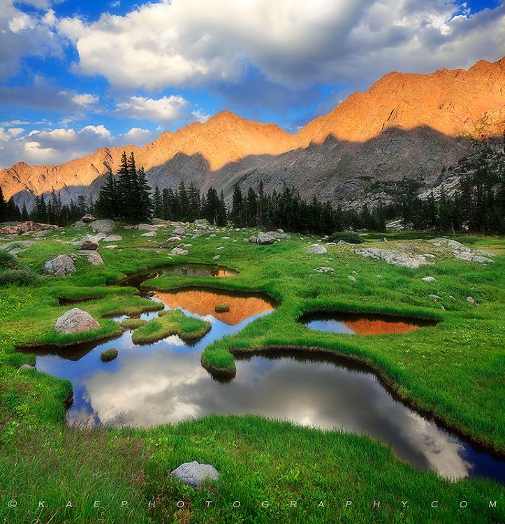 cover art for Kane Engelbert - Passion for Colorado