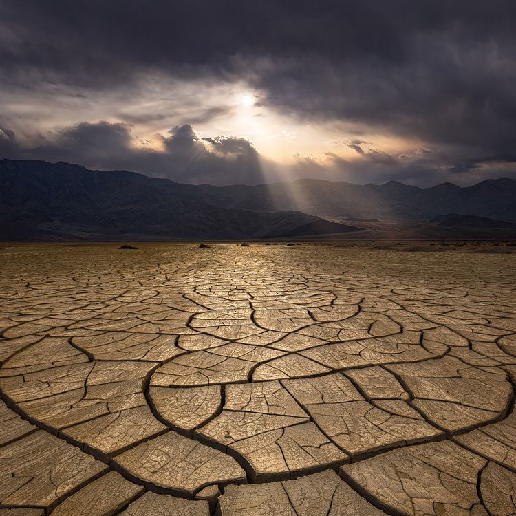 cover art for Erin Babnik - Artistic Vision in Landscape Photography