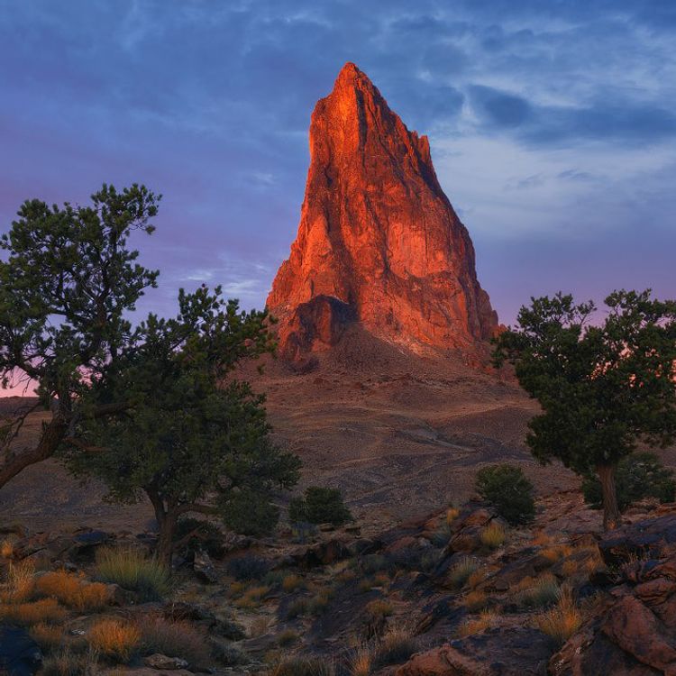 cover art for Paul Rojas - Allowing the Landscape to Dictate Lens Selection