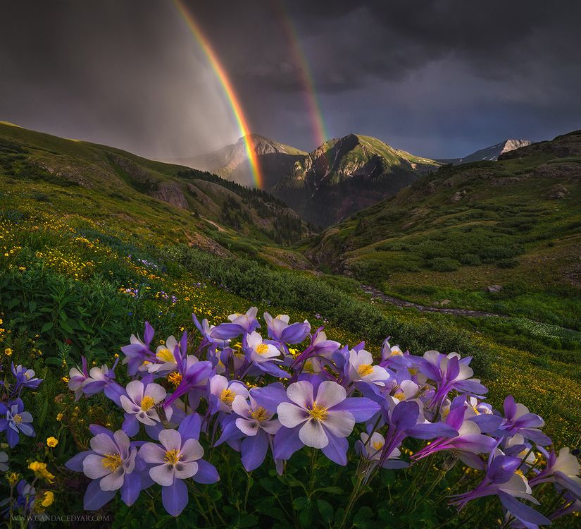 cover art for Candace Dyar - Connection to the Landscape as a Photographer