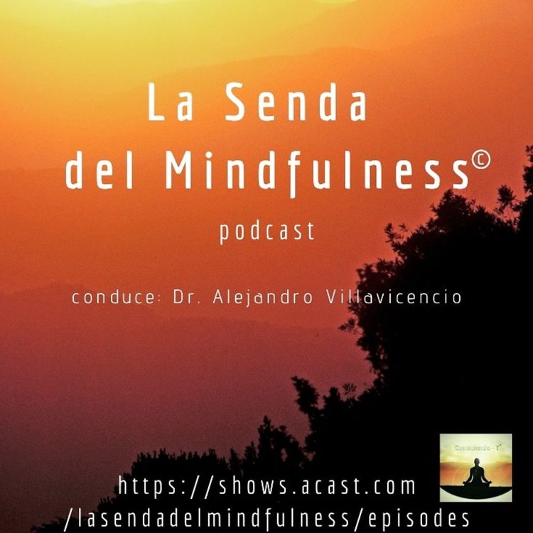 cover art for Episodio 2