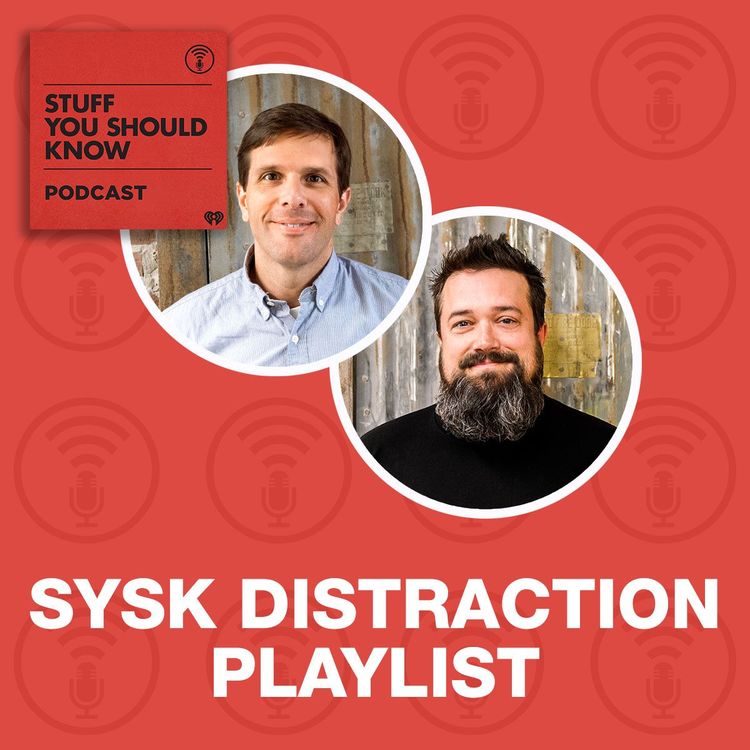 cover art for SYSK Distraction Playlist: How Rogue Waves Work
