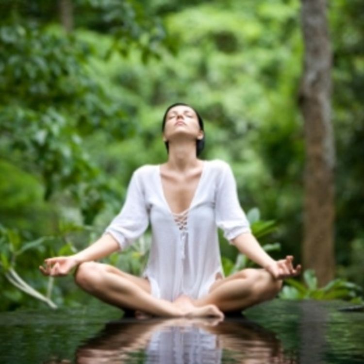 cover art for Introduccion