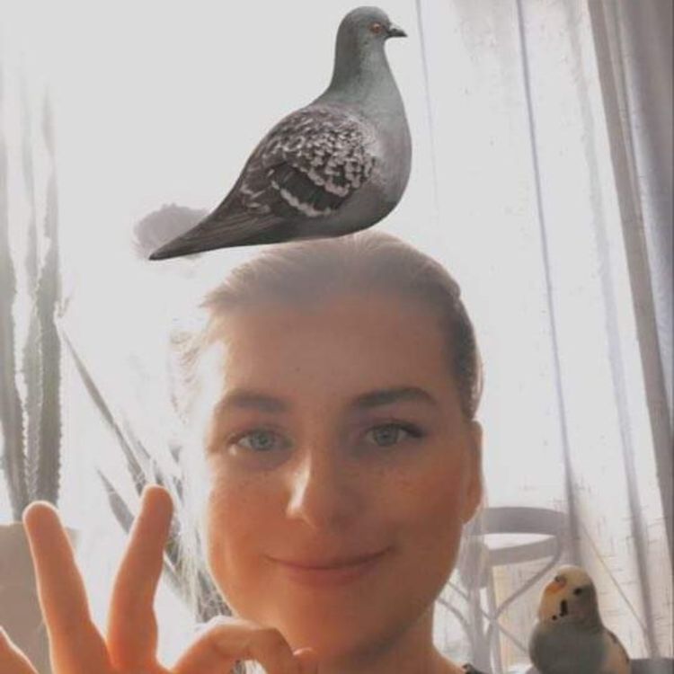 cover art for Rädslor